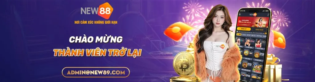 Hình ảnh đại diện cho Chính sách Cookie và bảo mật dữ liệu tại new88bi link mới